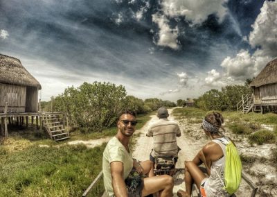 Celestún, foresta di mangrovie