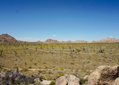 california on the road itinerario_Joshua Tree National Park