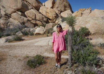 california on the road itinerario_Joshua Tree National Park la pianta di Yucca
