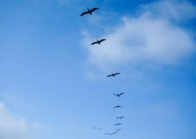 california on the road itinerario_La Jolla