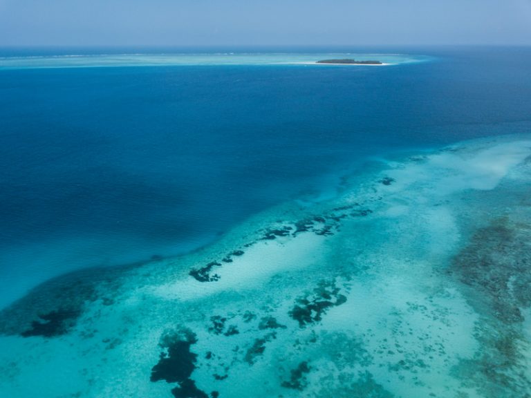 Per Andare A Zanzibar Servono Vaccinazioni