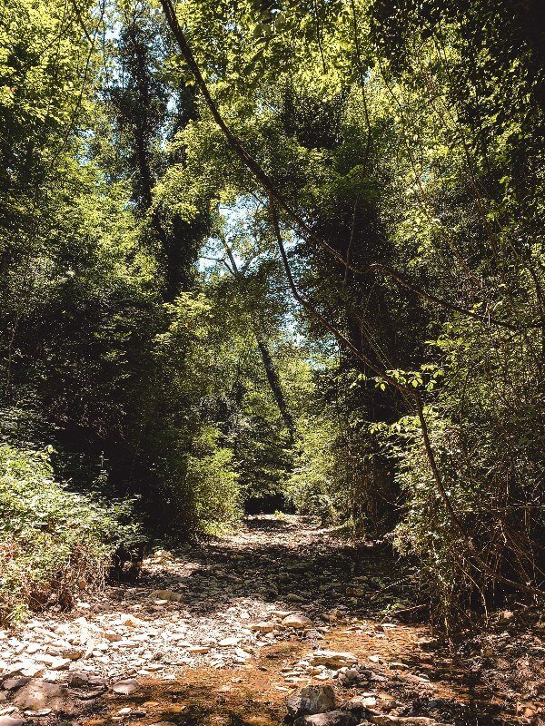 Trekking Toscana Sentierelsa