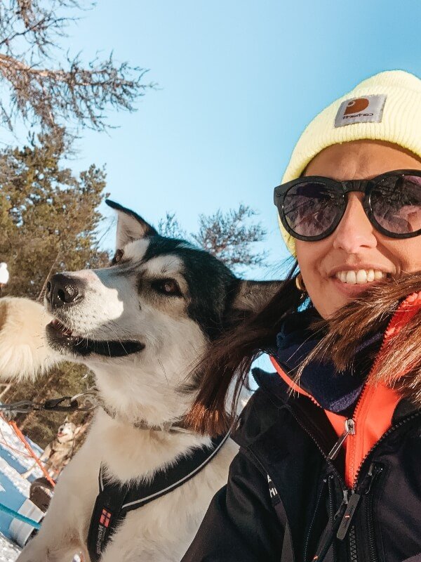 Viaggi di gruppo in Lapponia svedese_husky safari