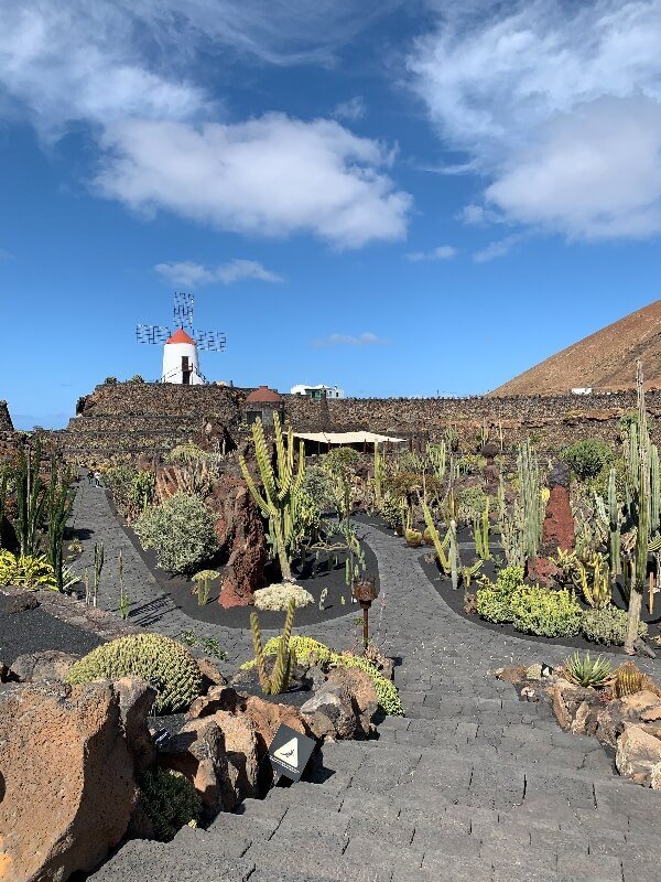 Cosa fare a Lanzarote_Jardin de Cactus
